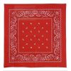 Bandana rossa